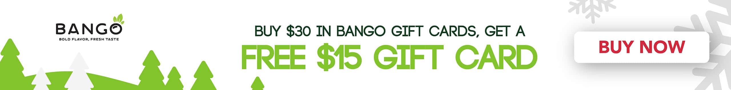 BFCM Gift Card Promo